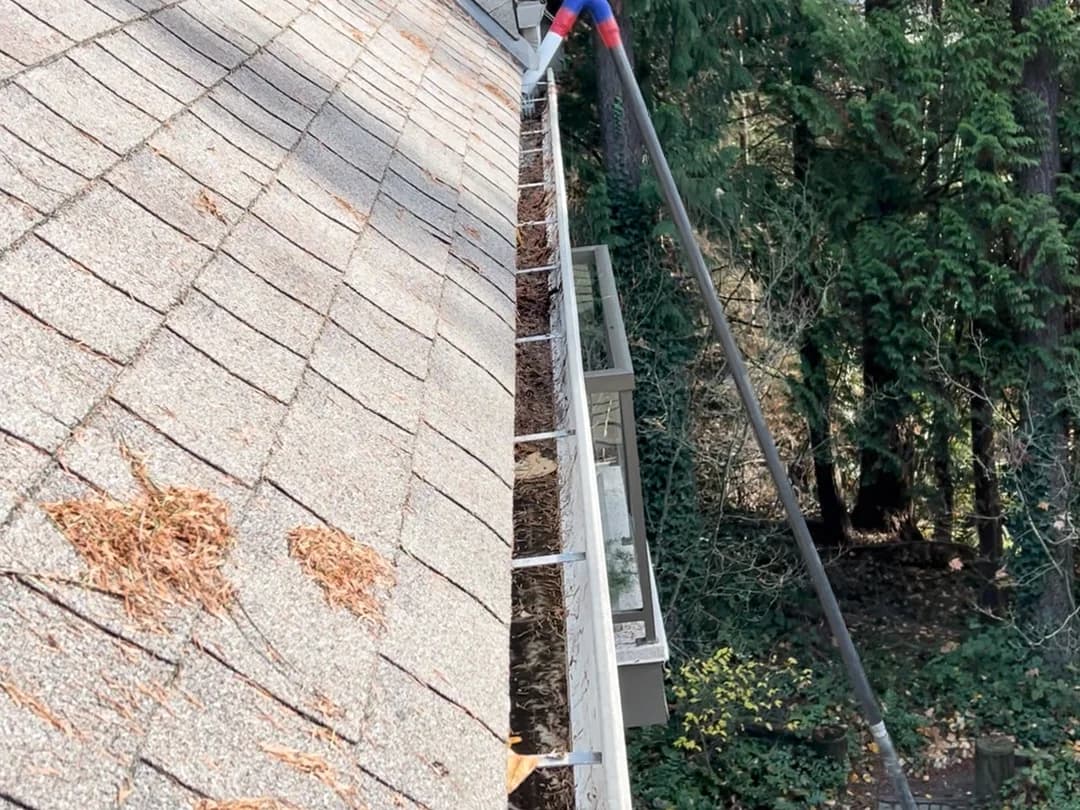 Gutter cleaning before