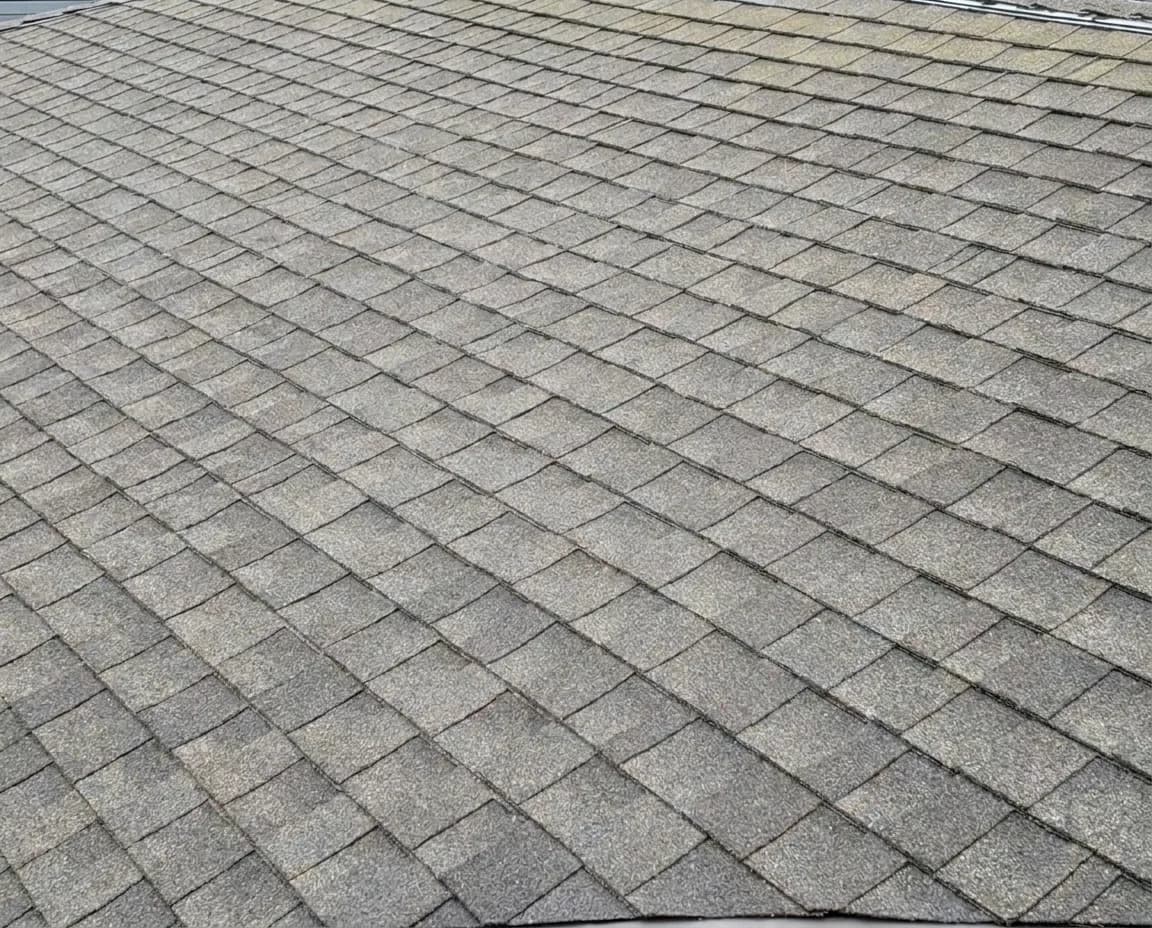 Moss removal after