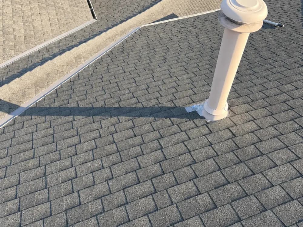 Moss removal after