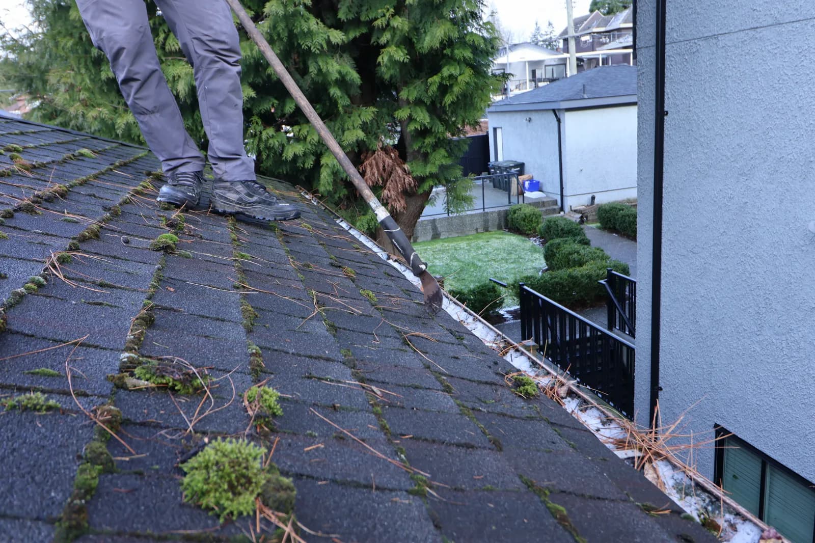 Moss removal before